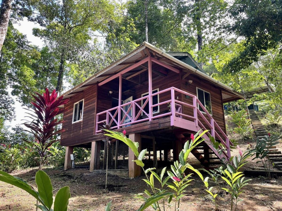 Akwaba Lodge The Gap Esterno foto